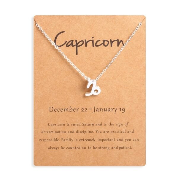 12 Zodiac Sign Necklaces With Gift Card Constellations Pendant Necklace Jewelry - Image 10