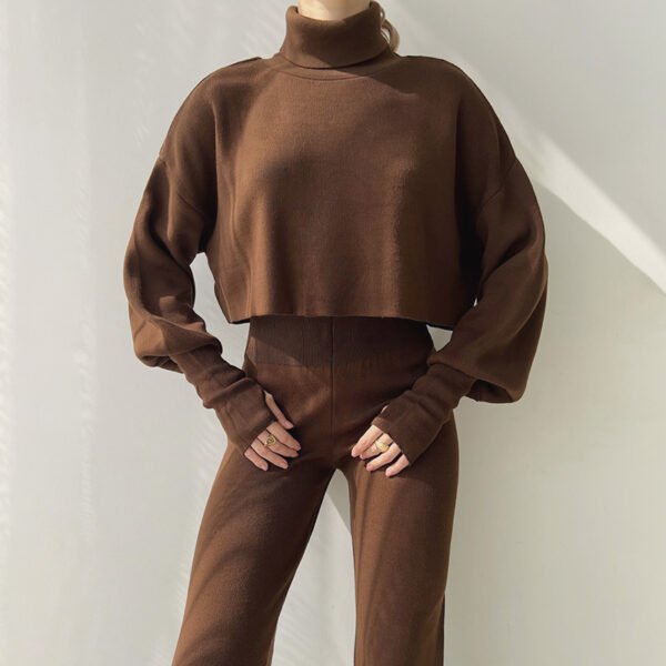 Autumn And Winter New European And American Turtleneck Loose Long Sleeve Top Female Casual Fashion Set - Image 4