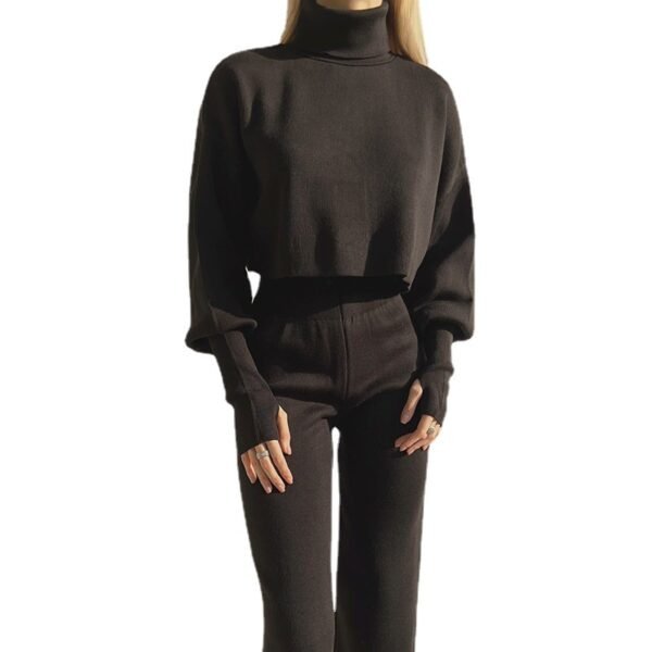 Autumn And Winter New European And American Turtleneck Loose Long Sleeve Top Female Casual Fashion Set - Image 2
