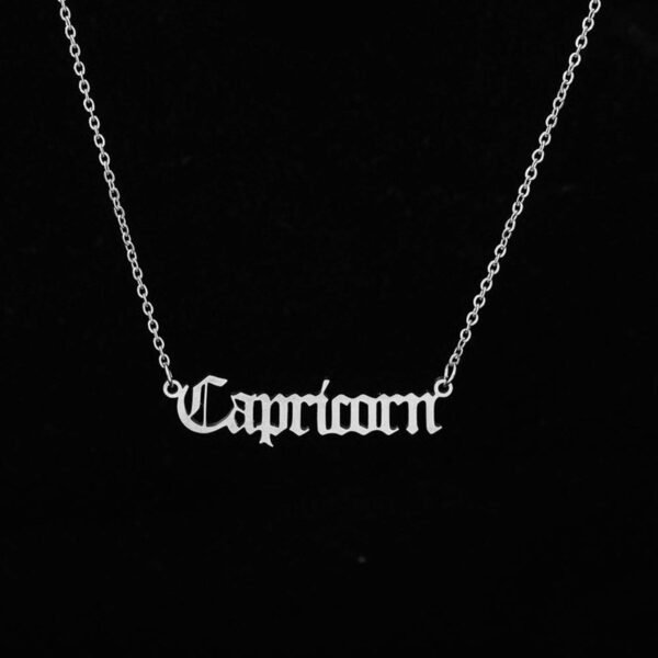 12 Constellation Letter Stainless Steel Pendant Silver Chain Necklace - Image 5